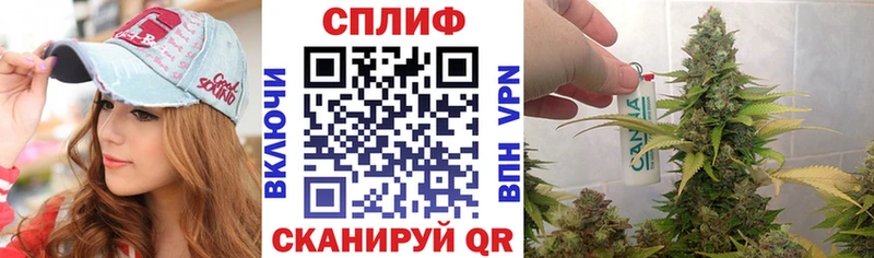 Виды наркоты Рошаль Псилоцибиновые грибы  NBOMe  Мефедрон  МАРИХУАНА  Гашиш  Амфетамин 