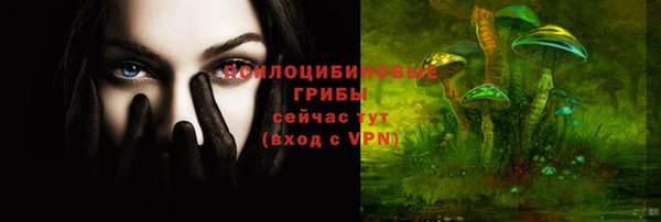 спиды Алзамай